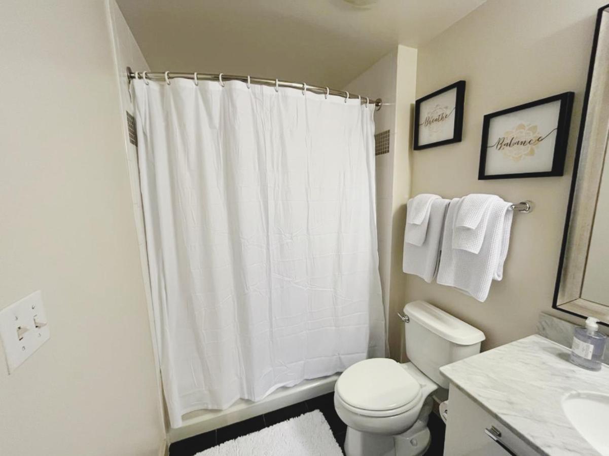 Charming Studio In Downtown Silver Spring Md 外观 照片